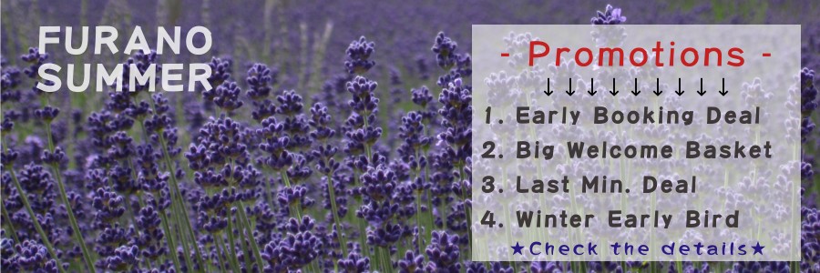 Summer in Furano - Lavender farms